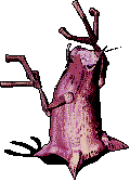 108334.gif